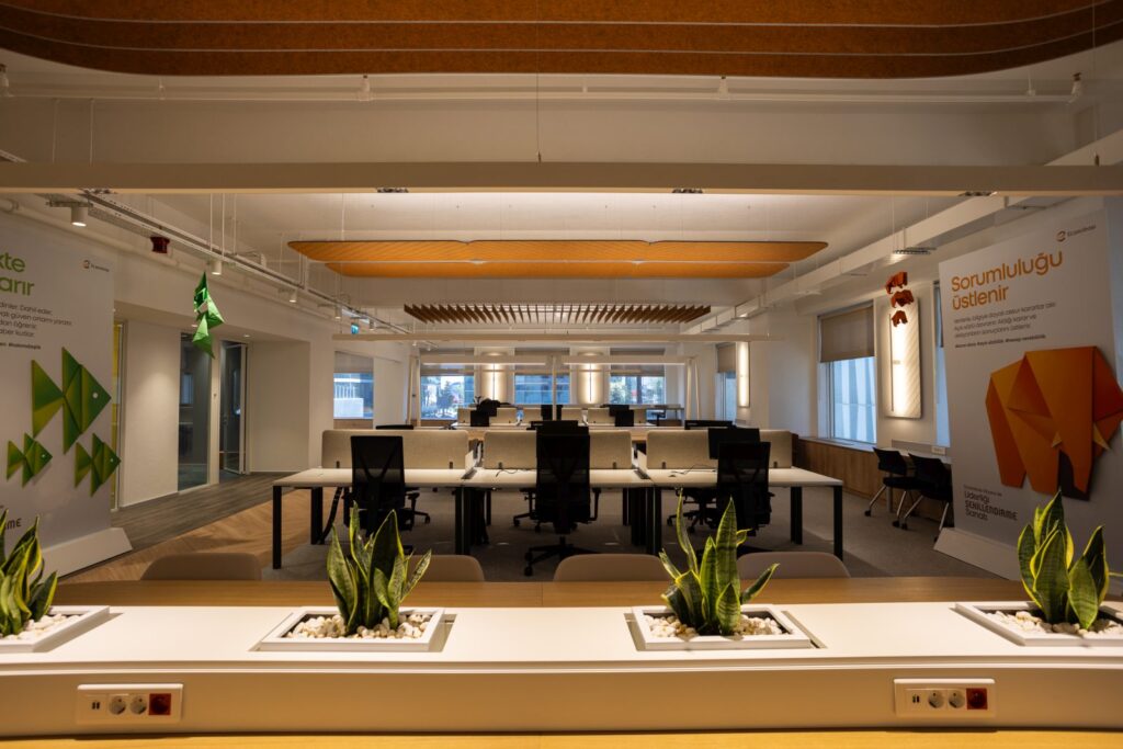 Eczacibasi kat 2 010